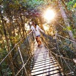 Lamington National Park